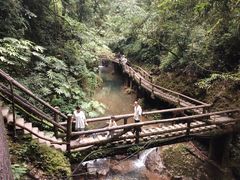 -青城山
