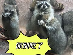 -杭州野生动物世界