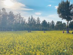 -长白岛森林公园