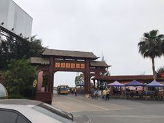 -北海金海湾红树林生态旅游区