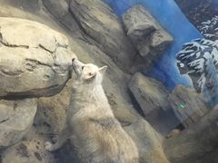 -梦幻海洋王国(吾悦广场张家港店)