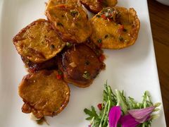 -前小桔亲子创意农场·草莓采摘·露营烧烤