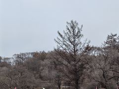 -萨尔浒风景区