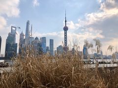 -北外滩滨江绿地