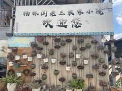-杨林闻老三酸菜鱼(总店)