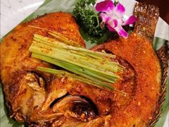 -紫滇源云南生态菜(丹凤街店)
