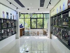 -翊宠yipet猫狗购宠庄园犬舍•猫舍