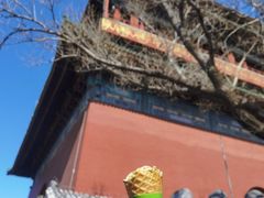 -吴裕泰茶庄(前门大街店)