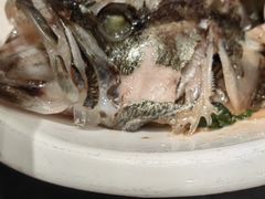 -海宝酒家(中山四路店)