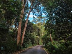 -中国科学院西双版纳热带植物园