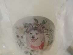 -Husky Go! 哈士奇体验馆·宠物咖啡厅狗咖