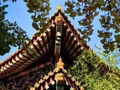 -西安大兴善寺