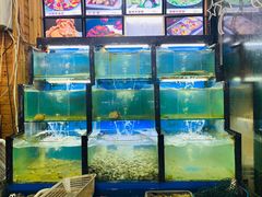 水产区-老东镇啤酒屋海鲜加工·蒸汽海鲜·海鲜烧烤(台东店)