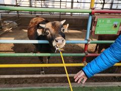 -南宫五洲植物乐园