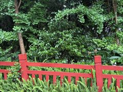 -成都老君山