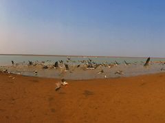 -鄱阳湖国家湿地公园