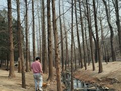 -白水寺森林公园