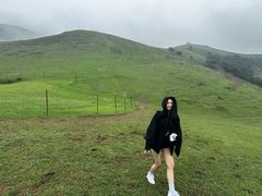 -大姆山草场