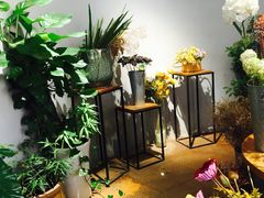 -听香·678茶铺(猛追湾店)