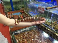 特大红角虾-欢乐海岸美食联盟