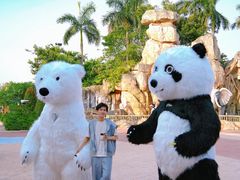 -美的鹭湖森林度假区