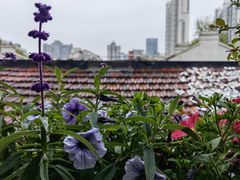 -普朗姆生蚝吧(原建国路店)