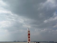 -东郊椰林