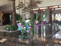 -常州环球恐龙城维景国际大酒店