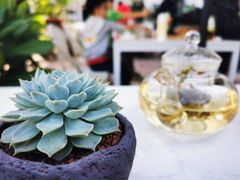 -素心小筑(后沙裕镇店)
