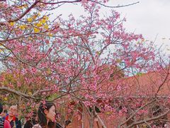 -园林宾馆·鸿运楼(越山路店)