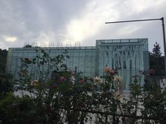 -元洲装饰(杭州东路店)