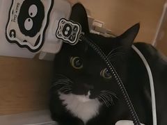 -艾贝尔宠物医院 ·中兽医·宠保定点(北门桥店)