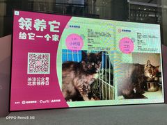 -远洋未来广场(育慧北路店)