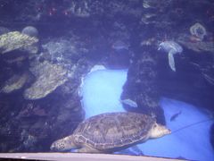 -成都浩海立方海洋公园