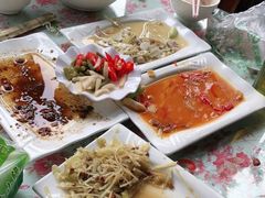 -龙翔山庄雷鸡肉(青城后山泰安古镇店)