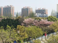 -尹兰楼西北风情餐厅(嘉定店)