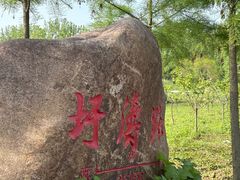 -合肥滨湖国家森林公园