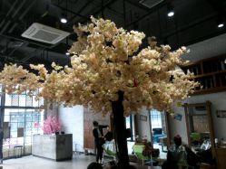 -简影造型·自选烫染接发salon