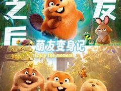 -深影国际影城(学院南路店CGS中国巨幕店)