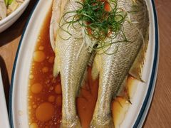 -波螺油子青岛本帮菜(银座店)