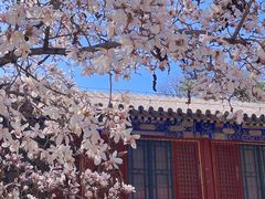 -潭柘寺景区