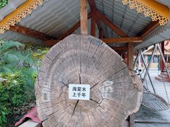 -西双版纳傣族园