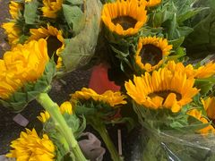 -循礼门鲜花花市(武汉循礼门店)