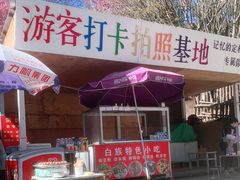 -苍山感通索道