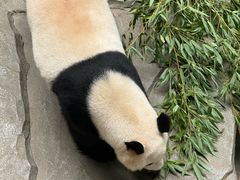 -南山竹海·珍味堂