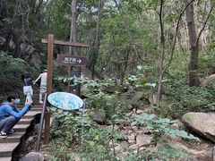 -大岭沟猕猴桃谷风景区