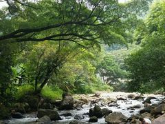 景点-广州市石门国家森林公园