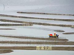 -北岐滩涂