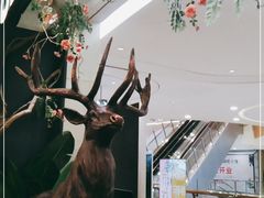 -新白鹿餐厅(爱琴海购物中心店)