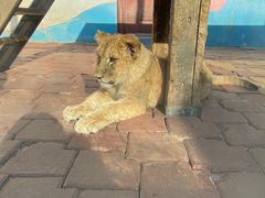 -大连森林动物园